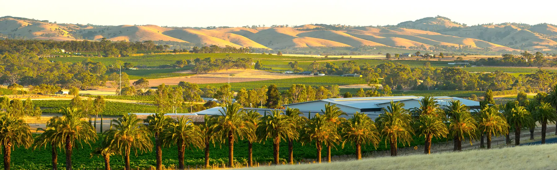 The barossa banner